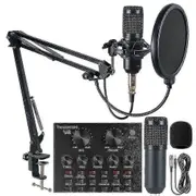 Professional Recording Studio Audio Interface Recording External Live Bm-800 Karaoke Microphone V8 Sound Card Condenser Microphone(EPA02)