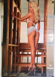ROLLED 2005 KRYSTAL STEAL CLUB JENNY MODEL CHEESECAKE 22X34 POSTER SCORPIO #1226