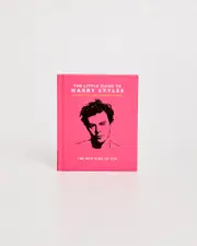 Little Guide To Harry Styles Book
