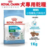 ✨橘貓MISO✨ROYAL CANIN法國皇家 犬專用乾糧1KG MNS小型離乳犬與母犬 犬糧