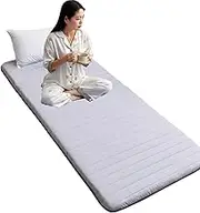 WEQOJKSHLL Floor Mattress - Tatami Japanese Futon, Portable Sleeping Mattress, Super Soft Sleeping Pads, Roll Up Foldable for Boys Girls Adult Student Dormitory,Grey,120x200cm