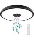 Black Waterproof LED Ceiling Light Fixture,with Bluetooth Speaker,11Inch 18W
