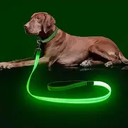 Colaseeme Light Up Dog Leash, 4FT LED Pet Leashes Micro USB Rechargeable, Nylon Glow Safety Dogs Lights at Night (Green-New)
