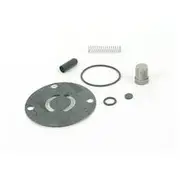 Holley Fuel Pump Check Valve Kit - Holley HO12-150, HO12-819