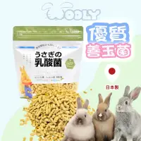 在飛比找蝦皮購物優惠-[台灣現貨 快速出貨] wooly 乳酸菌  兔子益生菌 兔