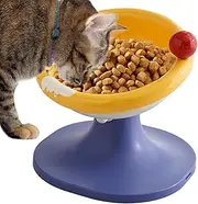 GEUGECY Elevated Cat Bowls - 60 Degree Tilted Cat Bowls for Indoor | Tilted Stand Ergonomic Feeder Whisker Friendly Dish for Pet Treat Feeding Apartment Indoor