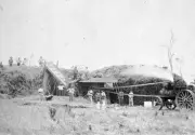 Western Australia 1895 - A thresher team in operation Old Historic Photo