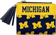Littlearth Michigan Wolverines NCAA Mini Organizer