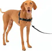 The Ultimate No-Pull Dog Harness - Take Control & Teach Better Leash Manners - Helps Stop/Prevent Pets Pulling (Black, L)