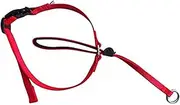 Boolavard Dog Collars & Leashes Pet Head Collar Gentle Control Leash Leader Stop Pulling Training Tool No-Pull Painless (Small, Red)