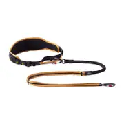 Rogz AirTech Sport Belt & Lead - Small/Medium / Ochre