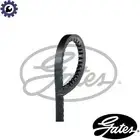 VBELT 6206MC FOR PEUGEOT 205/Hatchback/Van/II 405/Break 504/Pickup J9/Bus J7 5