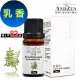 【 ANDZEN 】單方純精油5ml-乳香 天然 草本