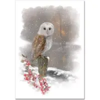 在飛比找博客來優惠-Winter Owl Small Boxed Holiday