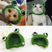 Dog Cat Frog Cap Dog Cat Pet Hat Cosplay Cute Plush Handmade Knitted Pet Hat EC