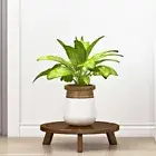 Flower Pot Holder Wooden Plant Stand Flower Pot Base Flower Plant Display