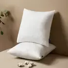18X18 Pillow Inserts 2 pcs Square Decorative Throw Pillows Fluffy Pillow Stuffer