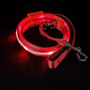 Blazin' Bison Safety Led Dog Leash - USB Rechargeable Flashing Light, 4 Ft, Water Resistant Lightweight (S, Red)