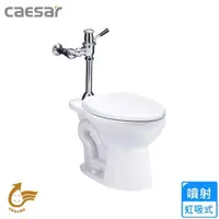 在飛比找momo購物網優惠-【CAESAR 凱撒衛浴】快沖馬桶(CP1333 不含安裝)