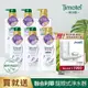 [Timotei 蒂沐蝶]日本洗護6入組(洗髮精*4+護髮乳*2)贈Unilever 聯合利華 Pureit龍頭式淨水器TX3040(內含1支濾心)