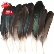 Pheasant Feathers 12 PCS Natural Feathers 8-10 Inch for DIY Crafts Hat Floral Ar