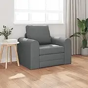 Dark Grey Fabric Floor Sofa Bed, Versatile 2-in-1 Sleeper Couch for Living Room, Apartment & Guest Use