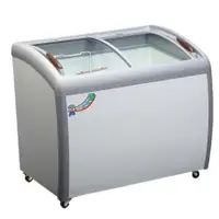在飛比找蝦皮購物優惠-弧型玻璃冷凍櫃 一路領鮮 4尺2 XS-360YX 冰櫃 展