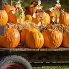 Small Scarecrow Welcome Sign Garden Scarecrows Ornament Halloween Decoration