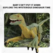Remote Control Dinosaur Toys, Big Walking Dinosaur Robot W/Simulation RC Toys