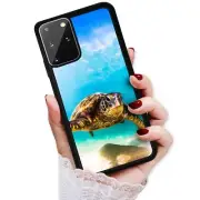 ( For Samsung S21 Plus / S21+ ) Back Case Cover AJ12636 Turtle