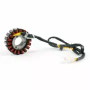 Stator Coil For Honda NSS250 Forza 250 MF06 (JAZZ/ REFLEX) 2004-2007 AU5