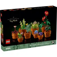 在飛比找蝦皮購物優惠-【群樂】盒組 LEGO 10329 Tiny Plants 
