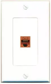 CAT6-ORANGE Decorative 1 Port Wall Plate [White]