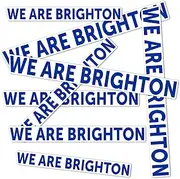 Desert Cactus Brighton & Hove Albion Sticker BHAFC Seagulls Football Club Decal Vinyl Laptop Water Bottle Car Scrapbook Official Fan Gear T3 (Type 3-4)