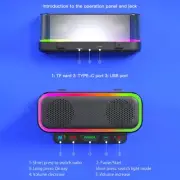 Wireless Karaoke Machine with Two Microphones Portable Bluetooth Speaker LED