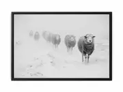 Sheeps in Field Framed Print Fine Art Poster Print