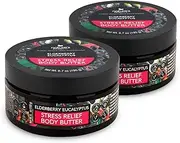 Nature's Beauty Elderberry Eucalyptus Stress Relief Body Butter Multi-Pack - Luxury Moisturizer, Unwind + Restore Your Skin, Made w/ Shea Butter, Avocado + Sweet Almond Oil, 6.7 oz (2 Pack)