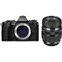 在飛比找蝦皮購物優惠-【二手】Olympus OM-D E-M5 Mark II 