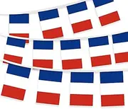 32FT Small France Pennant Flag Bunting,30 PCS Mini String Banner Strip French National Decor Rectangle for Holiday Restaurant Home Party School
