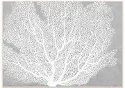 Hamptons Coral in Grey Canvas Wall Art 140x100 cm