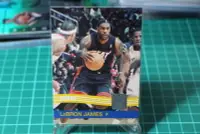 在飛比找Yahoo!奇摩拍賣優惠-LeBron James 2010-11 Panini Do