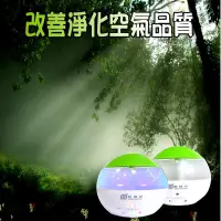 在飛比找蝦皮購物優惠-[時間達人] Home Resource虹瑞斯花漾USB水氧