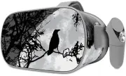 Skin Wrap for Oculus Go Moon Rise