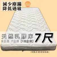 在飛比找Yahoo!奇摩拍賣優惠-【嘉新床墊】厚10公分/ 雙人特大7尺【馬來西亞天然乳膠床】