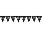 Sparkling Celebration 100 Prismatic Plastic Pennant Banner