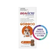 Bravecto Orange Flea & Tick Chew Treatment 4.5-10Kg Dog 2pk
