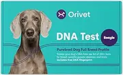 ORIVET Dog DNA Test Kit - Beagle Full Breed Profile | Puppy Testing Against 250+ Medical Health Risks & Traits | Genetic Fingerprint | At Home Cheek Swab