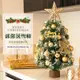耶誕節 聖誕擺飾 聖誕樹 🔥熱銷特賣🔥 擺件 擺飾 節慶用品 共度聖誕 聖誕節佈置  IAUG