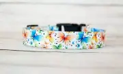 Beautiful Butterfly 3/4" dog collar and/or leash