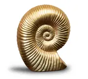 White Gold Mollusks Snail